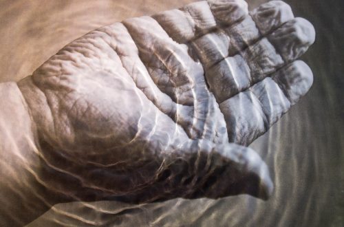 Perché le dita si raggrinziscono in acqua?