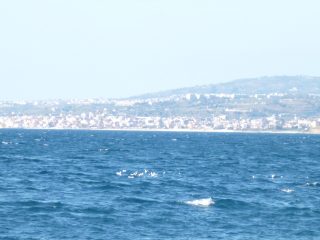 correnti e morfologia dello stretto di Messina-Reggio Calabria