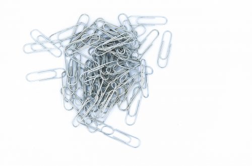 perché-la-graffetta-galleggia-sull'acqua