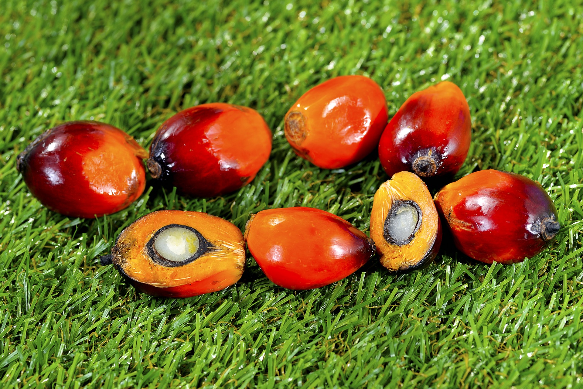 perché-senza-olio-di-palma