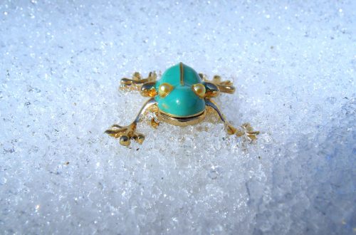 come-supera-l'inverno-la-rana-selvatica-che-congela