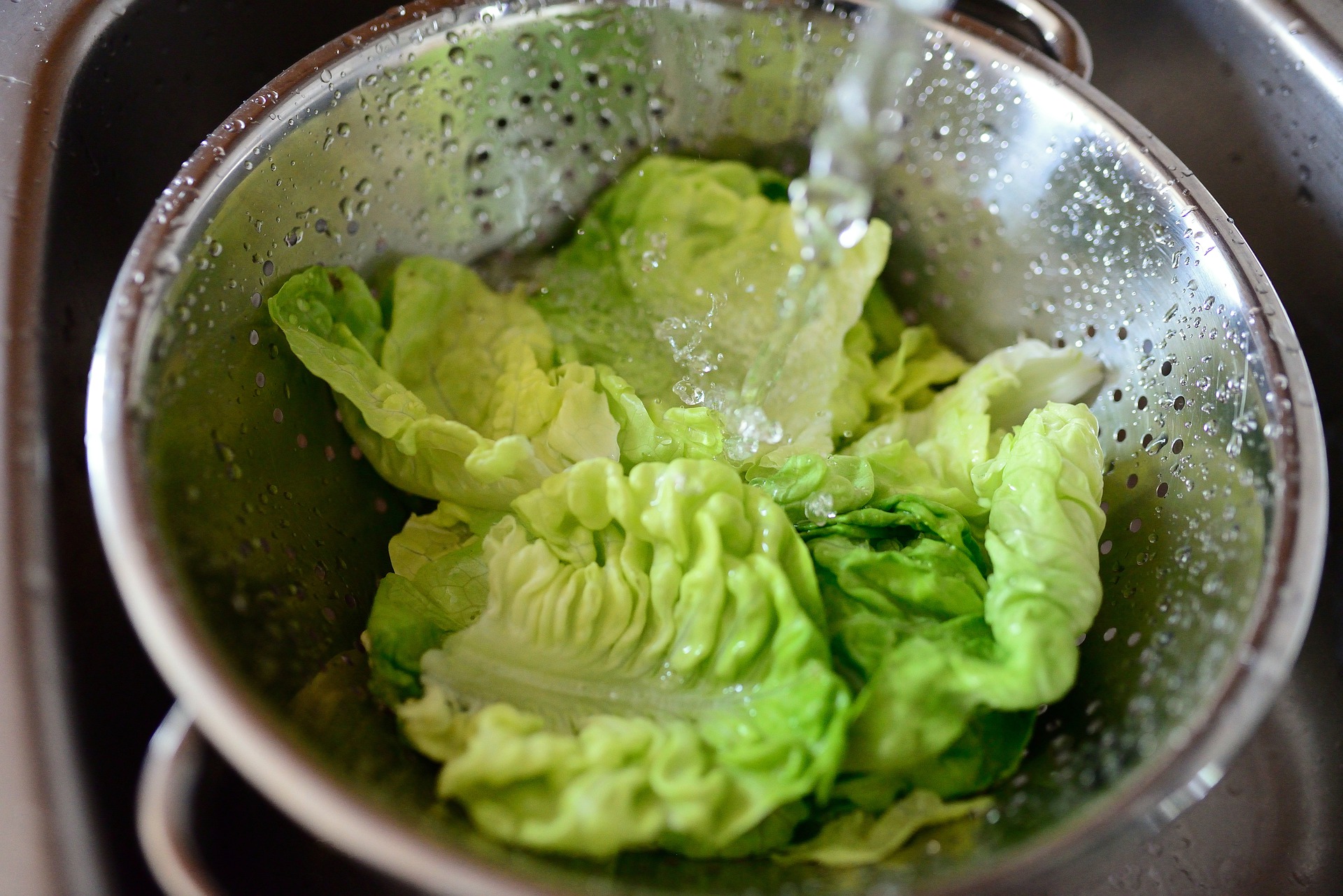 perché-la-lattuga-non-si-deve-mettere-in-freezer