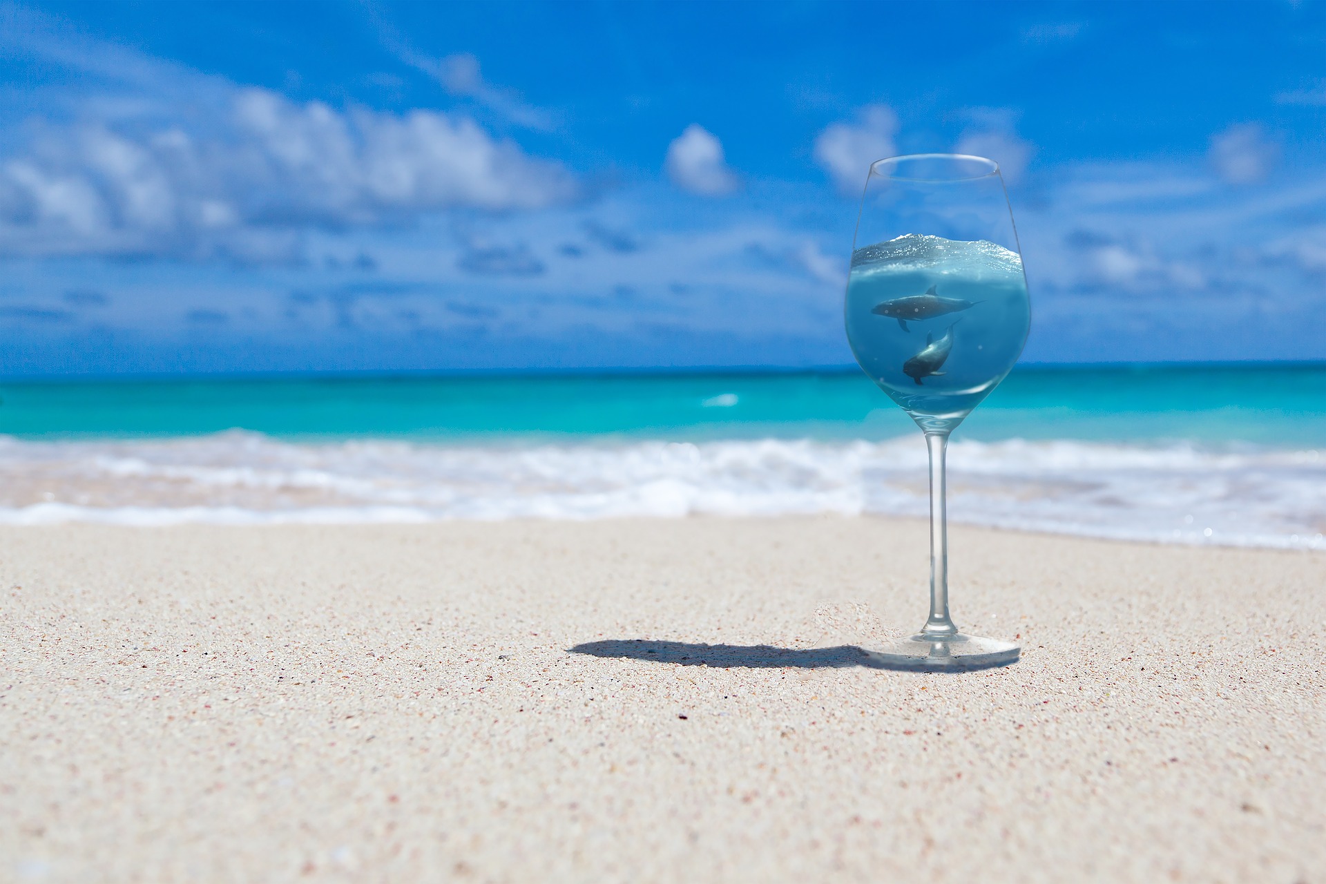 Perché non si beve l'acqua di mare